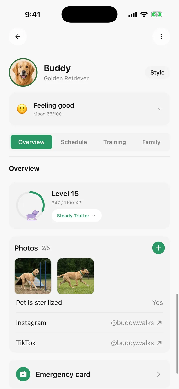 Buddy's page in Tailomi with up to five photos of the pet