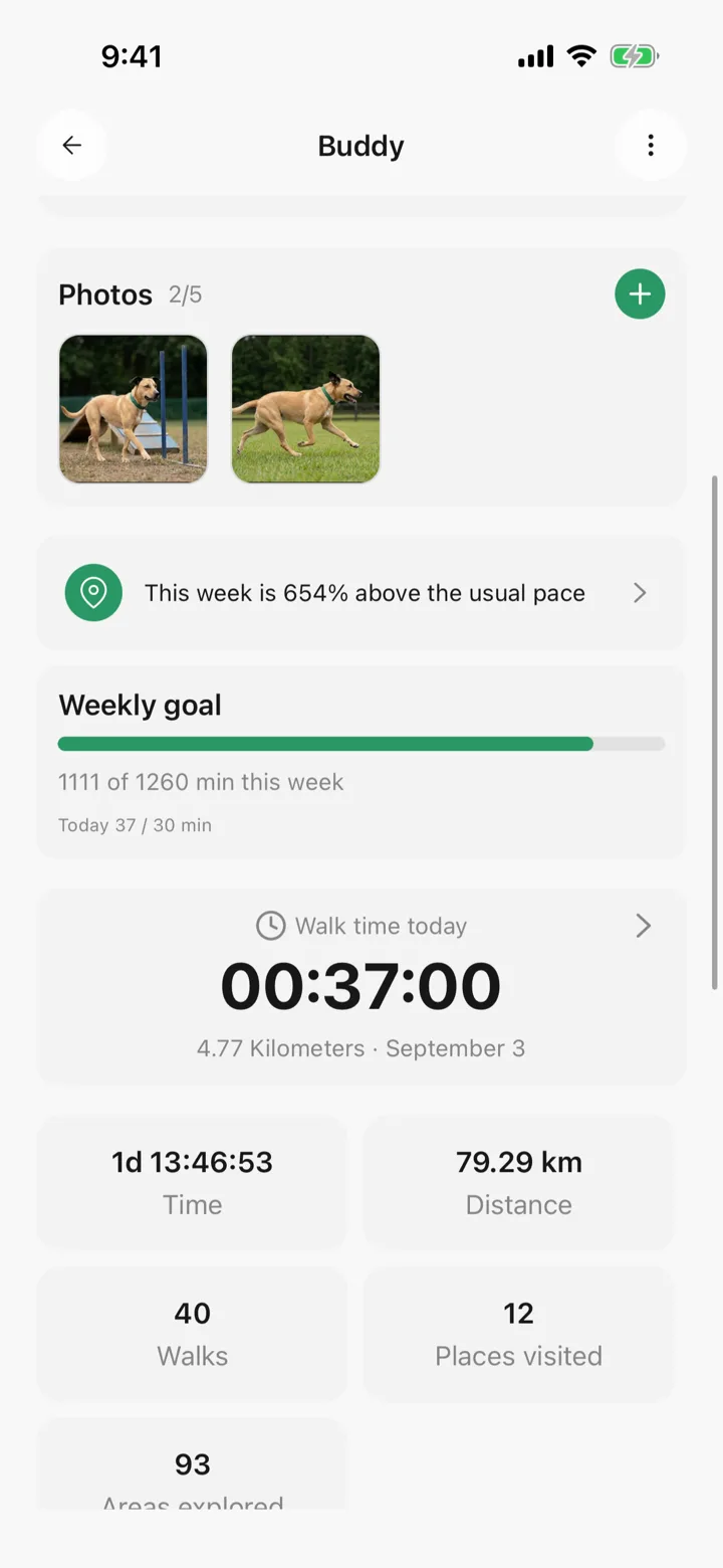 The weekly goal on a pet's page in Tailomi, filled by the whole family's walks