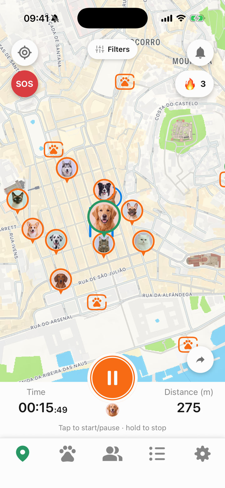 A walk in progress in Tailomi, with the route drawn on the map and live distance and time