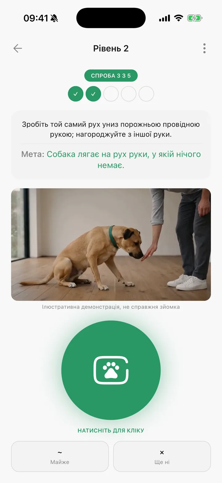 Заняття з дресирування в Tailomi: підхід за підходом, з демороликом і віртуальним клікером