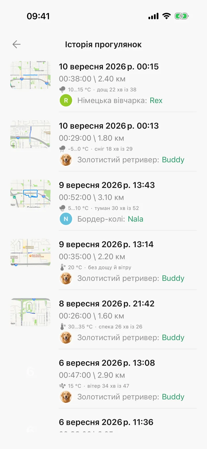 Історія прогулянок, де кожна прогулянка несе свою погоду: дощ, сніг, туман, спека і вітер